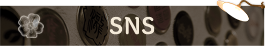 SNS